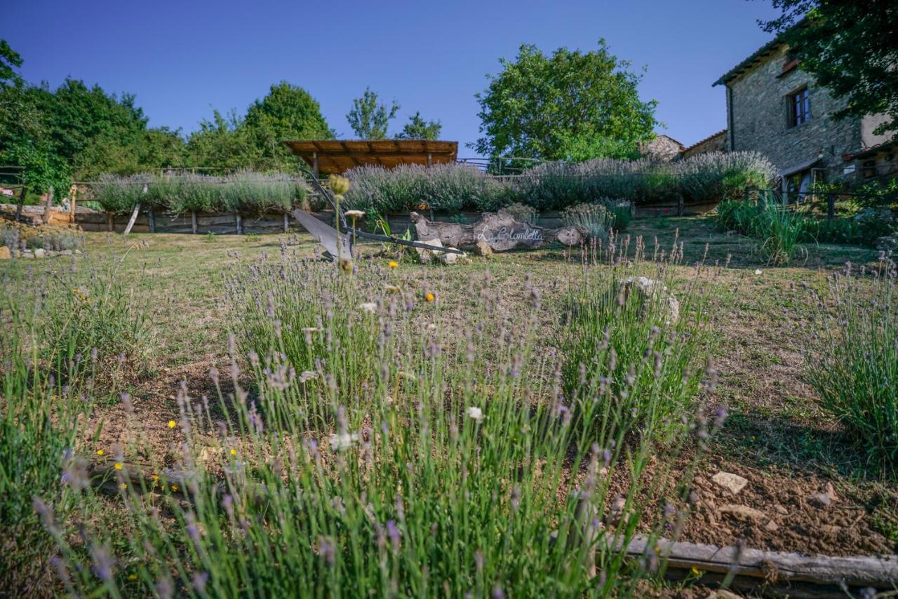 Agriturismo La Colombella Bagni San Filippo Eksteriør bilde