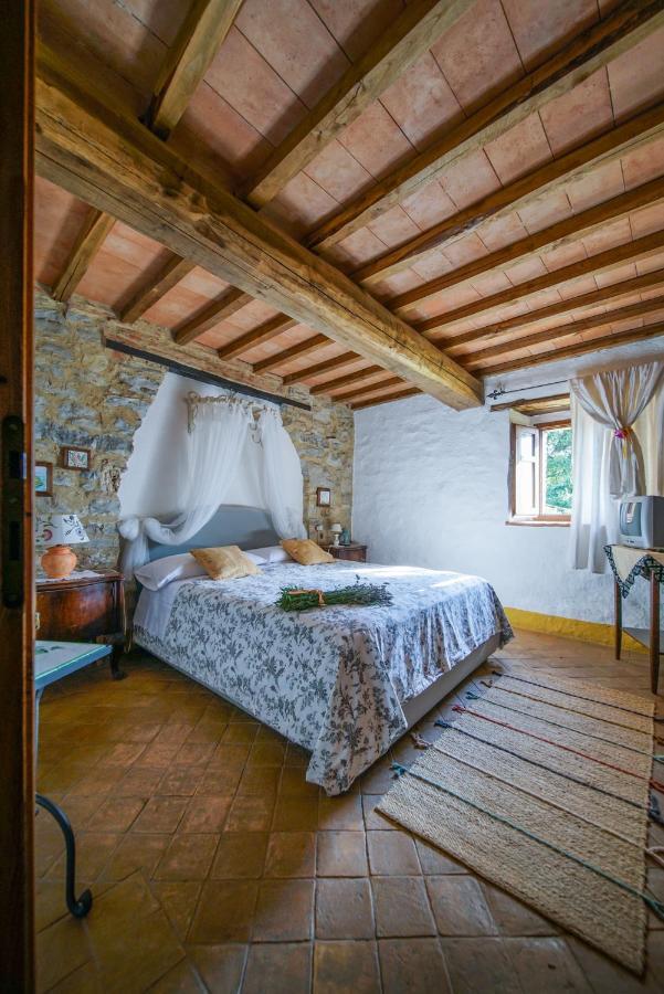 Agriturismo La Colombella Bagni San Filippo Eksteriør bilde