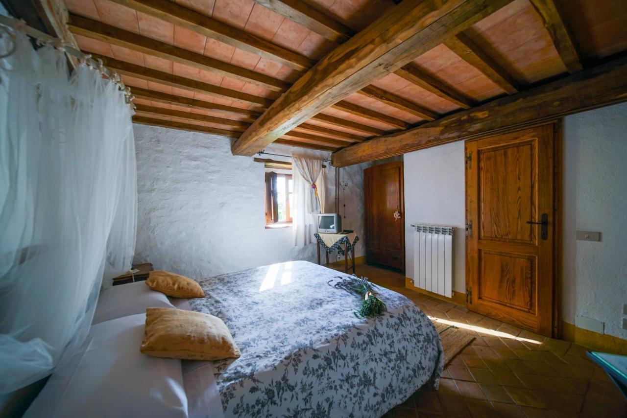 Agriturismo La Colombella Bagni San Filippo Eksteriør bilde