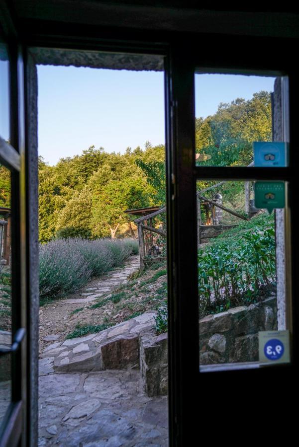 Agriturismo La Colombella Bagni San Filippo Eksteriør bilde