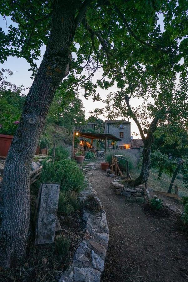 Agriturismo La Colombella Bagni San Filippo Eksteriør bilde