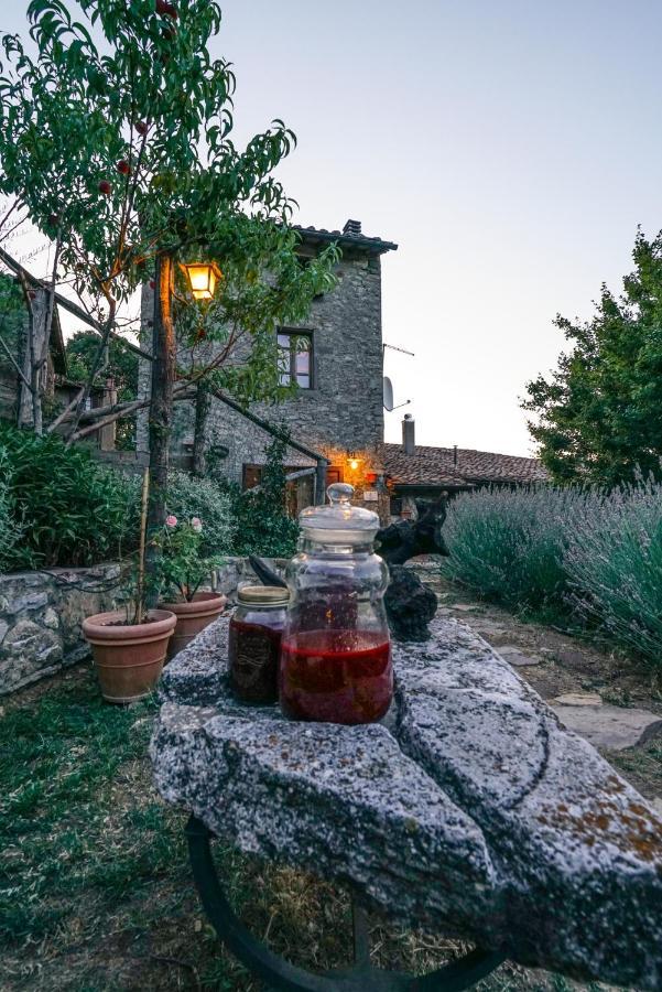 Agriturismo La Colombella Bagni San Filippo Eksteriør bilde