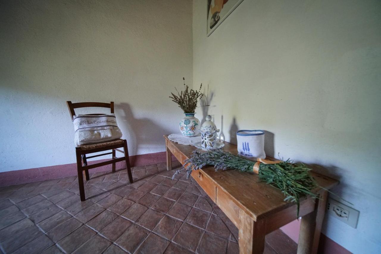 Agriturismo La Colombella Bagni San Filippo Eksteriør bilde