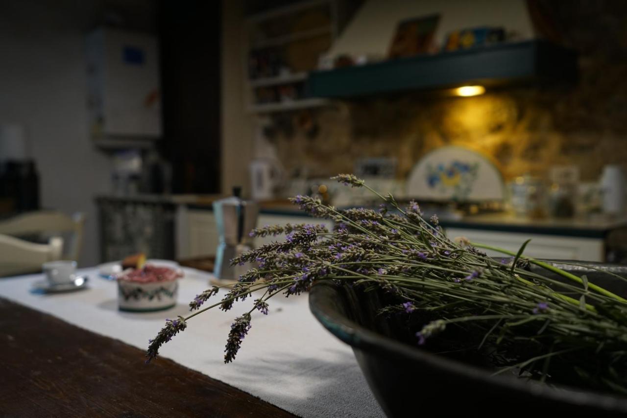Agriturismo La Colombella Bagni San Filippo Eksteriør bilde
